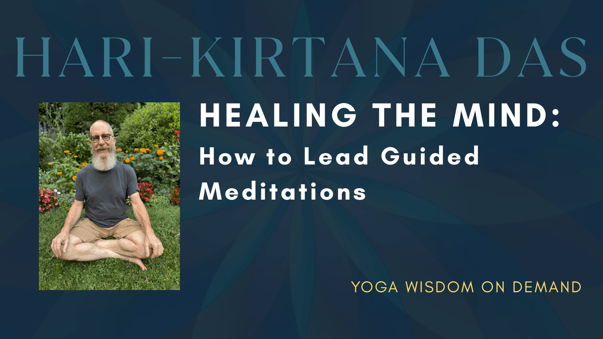 Healing the Mind : How to Lead Guided Meditations